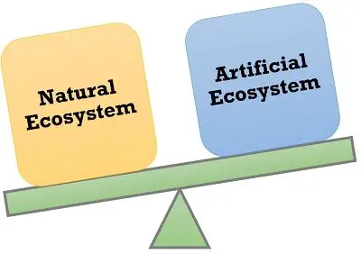 Natural vs Artificial ecosystem