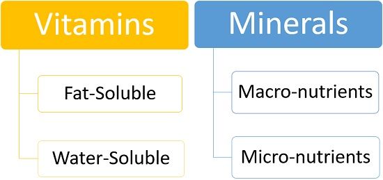 Vitamins and minerals