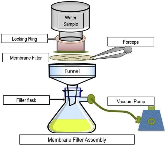 membrane filter assembly