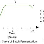 Graph_batch fermentation