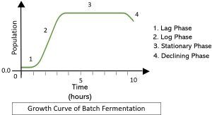 Difference Between Batch and Continuous Fermentation (with Comparison ...