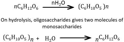 Polysaccharide carbohydrates