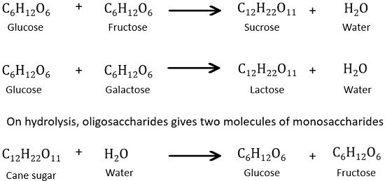 Oligosaccharides carbohydrates
