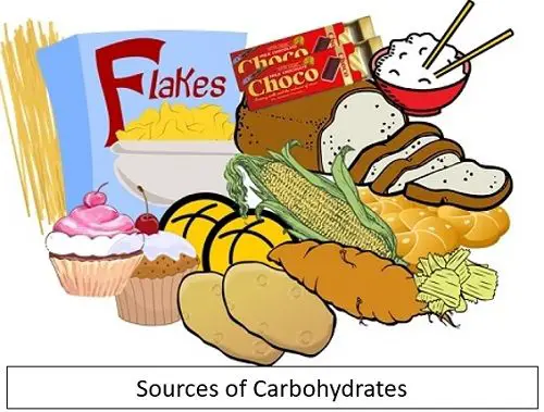 Sources of carbohydrates