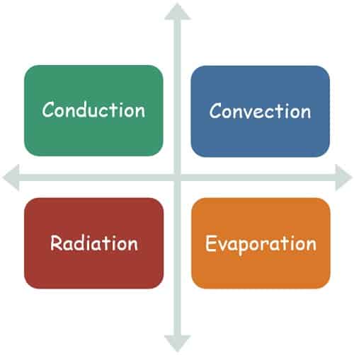 Hypothermia ways of heat evolution