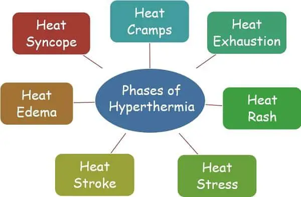 Types of hypothermia