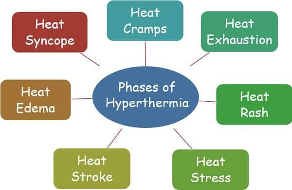 Difference Between Hypothermia And Hyperthermia Definition