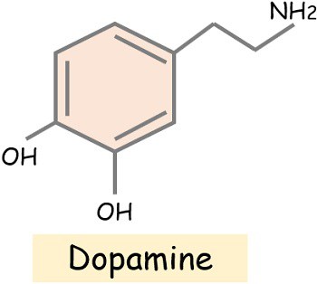 Dopamine structure