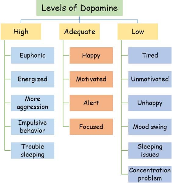 Levels of Dopamine