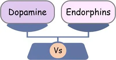 dopamine and endorphin