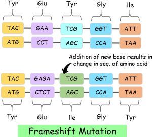 Difference Between SNP and Mutation (with Comparison Chart) - Bio ...