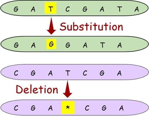 Types of mutation